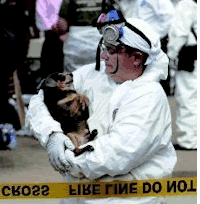 Pet rescue
